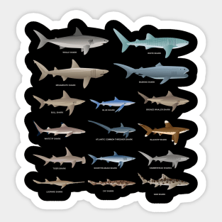 Marine Biologist Biology Sharks Fathers Day Gift Funny Retro Vintage Sticker